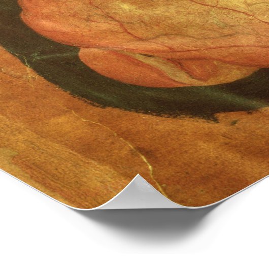 Poster Dessin anatomique du cerveau humain (Coin)