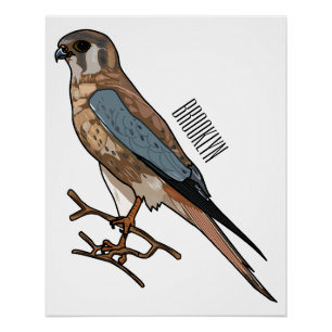 Poster dessin animé d'oiseau-kestrel américain