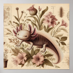 Poster Dessin Antique d'Axolotl avec Étiquette de Florale