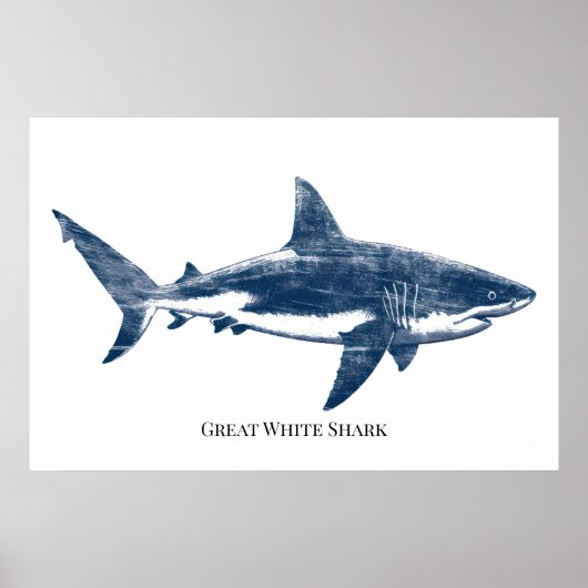 Poster Dessin antique d'un requin (Devant)