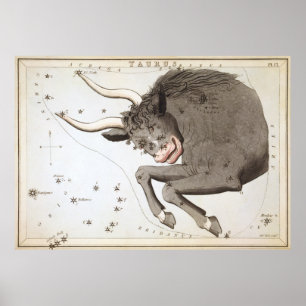 Poster Dessin astrologique de Taurus