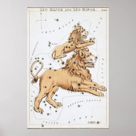 Poster Dessin astrologique Lion (Devant)