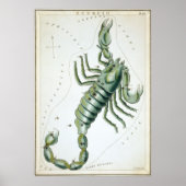 Poster Dessin astrologique Scorpio (Devant)