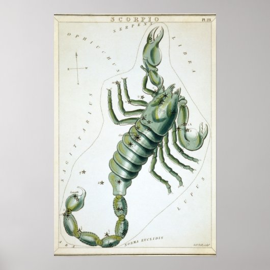 Poster Dessin astrologique Scorpion (Devant)