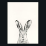 Poster Dessin au crayon de lapin<br><div class="desc">Dessin au crayon de lapin par Victoria Borges</div>