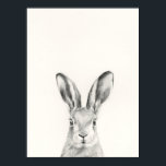 Poster Dessin au crayon de lapin<br><div class="desc">Dessin au crayon de lapin par Victoria Borges</div>