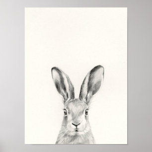 Poster Dessin au crayon de lapin