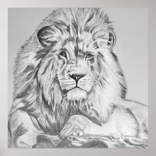 Poster Dessin au crayon original Dessin d'un lion (Devant)
