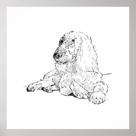 Poster Dessin au trait de Cocker Spaniel Art Chien (Devant)