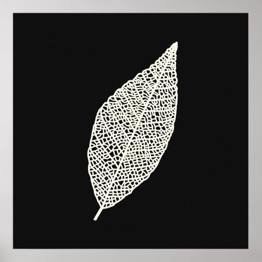 Poster Dessin au trait de feuille de squelette noir et bl (Devant)