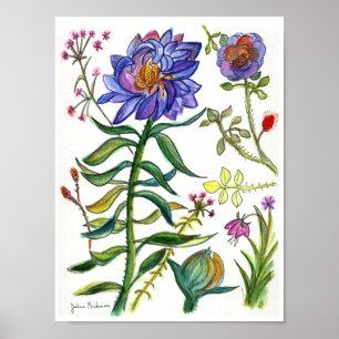 Poster Dessin botanique de fleur bleue merveilleuse