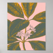 Poster Dessin botanique rose et vert Palm Frond (Devant)