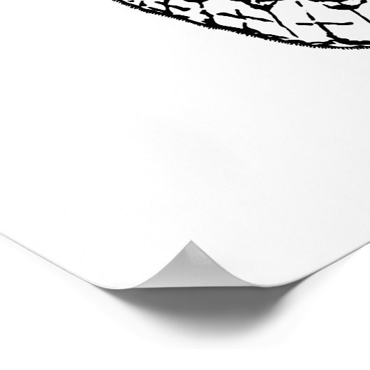 Poster Dessin Brahmin moth (Coin)