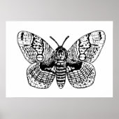 Poster Dessin Brahmin moth (Devant)