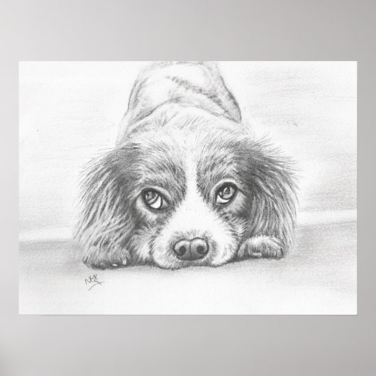 Poster Dessin Chien Chien Chien Chien Chien Chien Papier  (Devant)