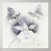Poster Dessin crayon de chat (Devant)