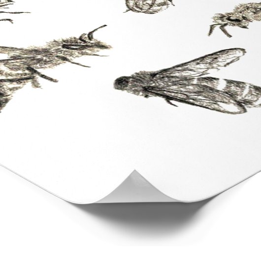 Poster Dessin d'abeilles (Coin)