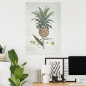 Poster Dessin d'ananas Vintage rétro (Bureau à domicile)