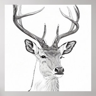 Poster Dessin d'art d'illustrations d'animaux de la natur