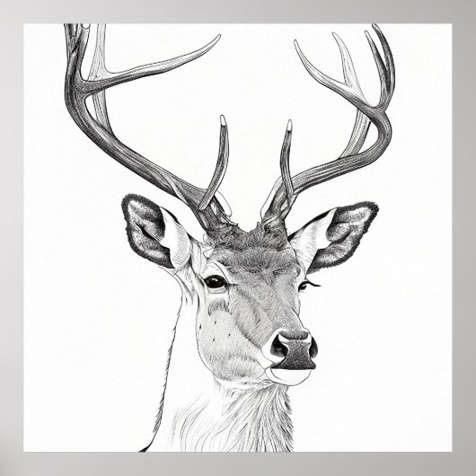 Poster Dessin d'art d'illustrations d'animaux de la natur (Devant)