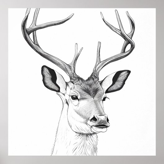 Poster Dessin d'art d'illustrations d'animaux de la natur (Devant)