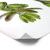 Poster Dessin de Botanique Vintage Sativa Plante (Coin)