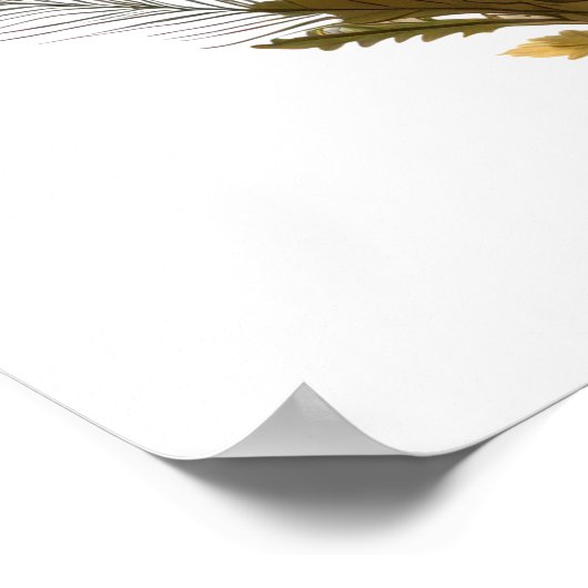 Poster Dessin de champignons (Coin)