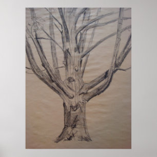 Poster Dessin de charbon de bois d'un arbre