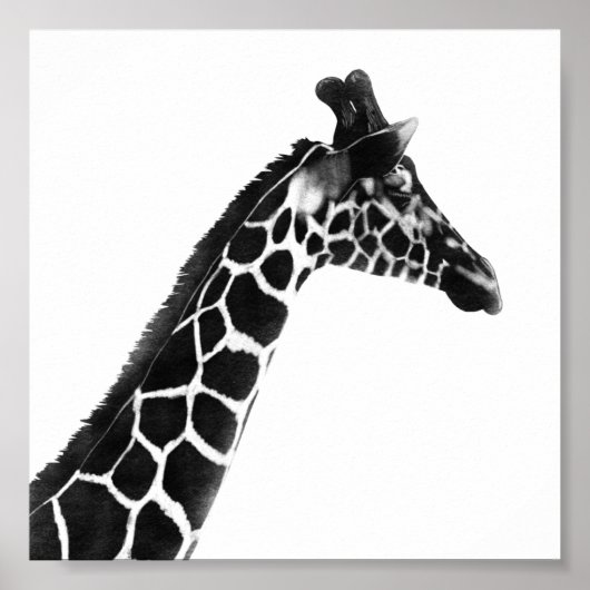 Poster Dessin de charbon de bois Giraffe (Devant)