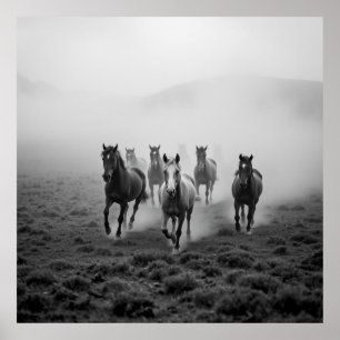 Poster Dessin de charbon de cheval Majestic - Grace et St