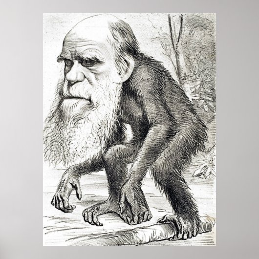 Poster Dessin De Charles Darwin 1871 (Devant)