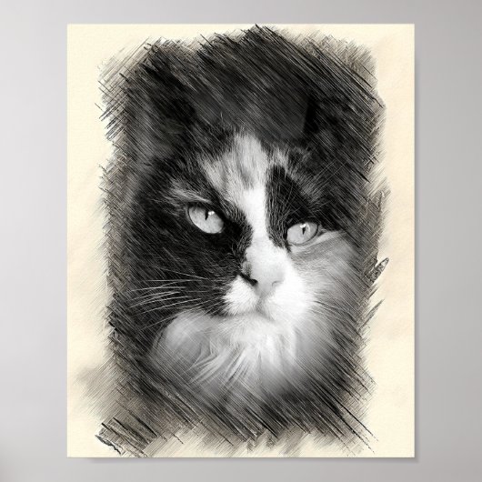 Poster Dessin de chat calico - Portrait de félin (Devant)