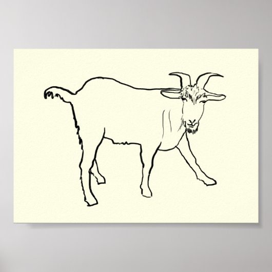Poster Dessin de chèvre amusant Art d'animal de ferme de (Devant)