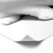 Poster Dessin de chien bébé Pomeranian mignon (Coin)