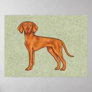 Poster Dessin de chien pointer mignon Vizsla hongrois Ver