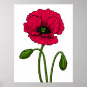 Poster Dessin de coquelicot rouge (Devant)