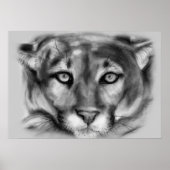 Poster Dessin de cougar (Devant)