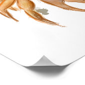 Poster Dessin de crabe mou (Coin)