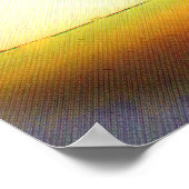 Poster Dessin de décathlon (Coin)