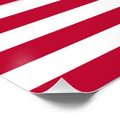 Poster Dessin de fierté du drapeau américain USA (Coin)