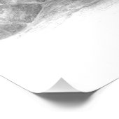 Poster Dessin de la tortue verte (Coin)