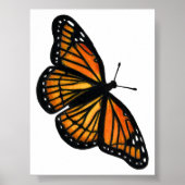 Poster Dessin de papillon monarque au crayon de couleur (Devant)