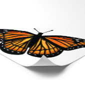 Poster Dessin de papillon monarque au crayon de couleur (Coin)