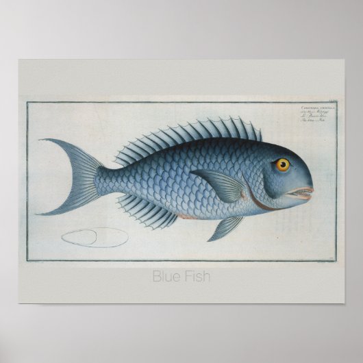 Poster Dessin de poisson bleu Vintage (Devant)