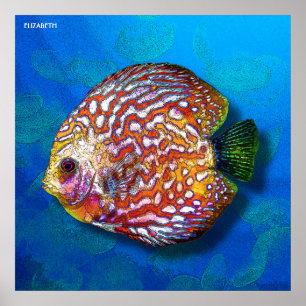 Poster Dessin de poisson de Disque Exotique couleur psych