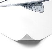 Poster Dessin de requin Petit (Coin)