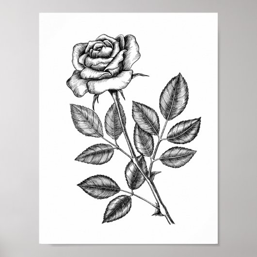 Poster Dessin de rose 2 (Devant)