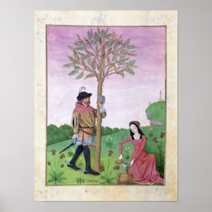Poster Dessin de sap à partir d'un arbre