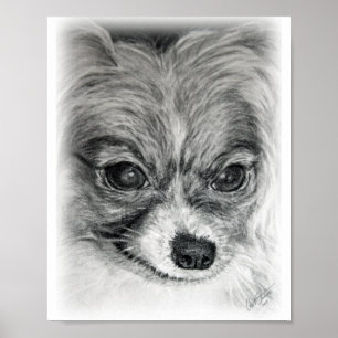 Poster Dessin de Sara