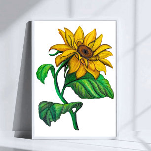 Poster Dessin de tournesol jaune à l'aide de crayons de c